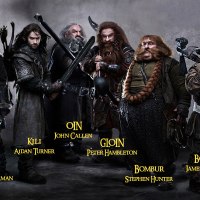 Bilbo and the 13 Dwarves ... and Their Beards